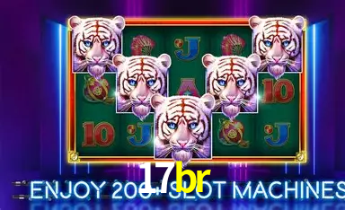 Flash Promotion 17br